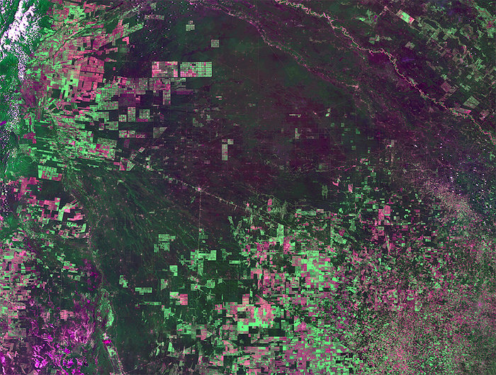 False colour Proba-V image from 4 February 2014 showing deforestation in Argentina (Photo:ESA/VITO)