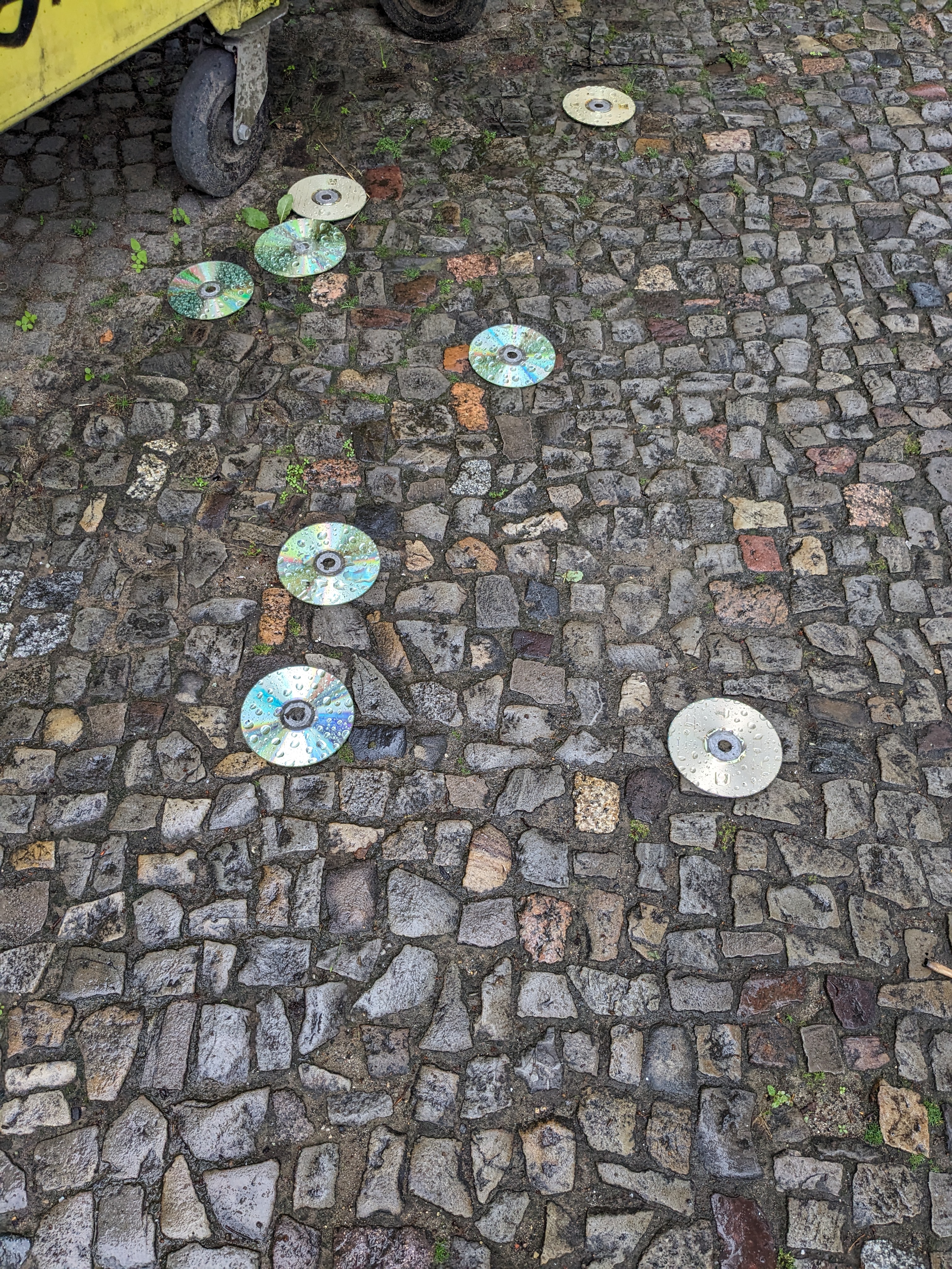 A few CDs on the ground, wet